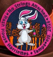 Failed to retrieve logo image!