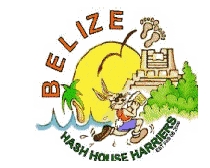 Failed to retrieve logo image!