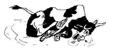 Failed to retrieve logo image!