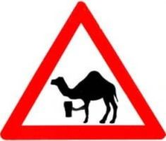 Failed to retrieve logo image!