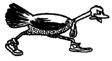 Failed to retrieve logo image!