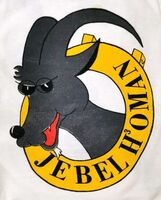 Failed to retrieve logo image!