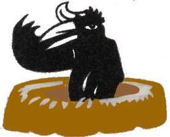 Failed to retrieve logo image!